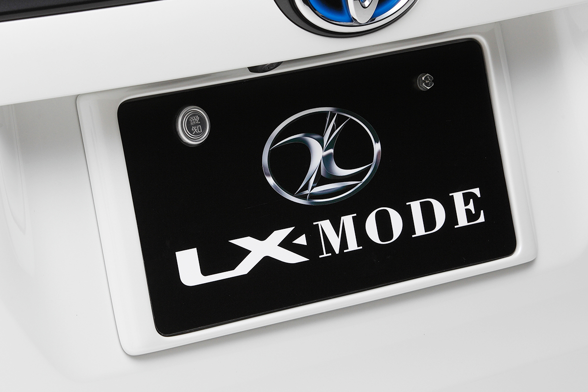 LXカラードリアライセンスフレーム | LX-MODE